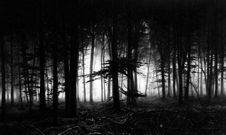 Robert Longo Untitled (Forest of Doxa) Aus dem “The Mysteries” Zyklus, 2014 94 x 152 cm Auflage 25 Ex. Archival Pigment Print auf Epson Bright White Exhibition Papier signiert und nummeriert