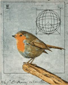 Wolfgang Zelmer Erithacus Rubecula, 2007 Farbradierung handsigniert und nummeriert Blattmaße 43 x 29 cm