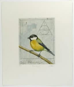 Wolfgang Zelmer Parus Major, Kohlmeise Farbradierung Auflage 95 Exemplare + e.a. 44,5 x 38 cm