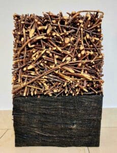 Norbert Klaus LIED-O188-14 Wandobjekt Reisig, Holz 41 x 30 x 80 cm Unikat