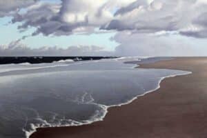 Malte von Schuckmann Flutsaum , 2025 Öl auf Leinwand 80 x 120 cm Unikat